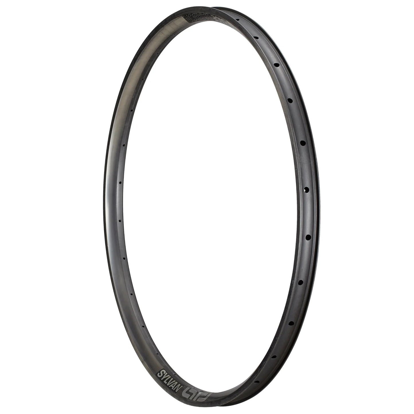 e*thirteen Sylvan Race All Mountain Carbon Rim - LoamLabs