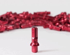 Sapim Aluminum Nipples - LoamLabs