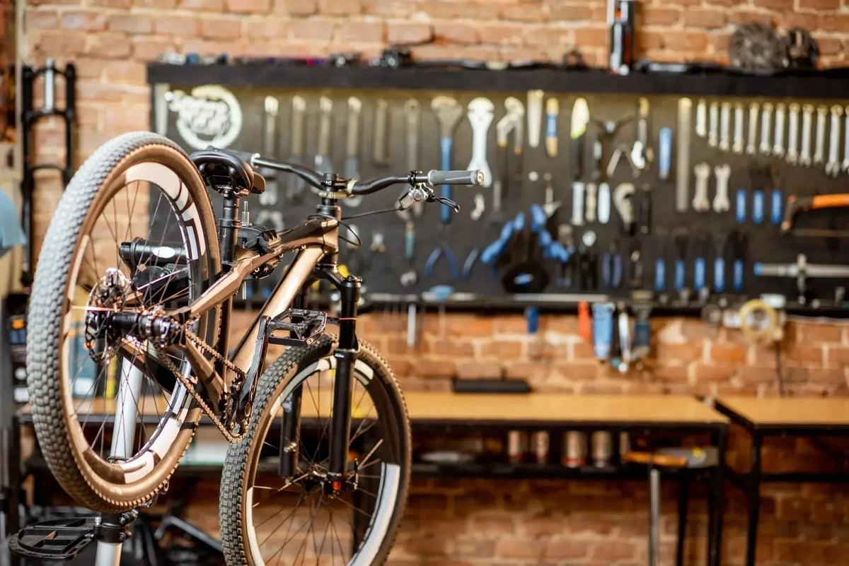A Pro Mechanic's Guide to Mountain Bike Maintenance - LoamLabs