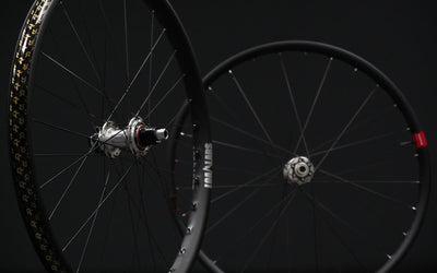 Choosing the Best MTB Wheels: From Beginner to Pro - LoamLabs