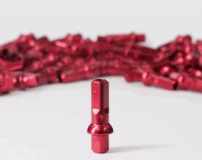 Alloy Nipples (Red) - LoamLabs