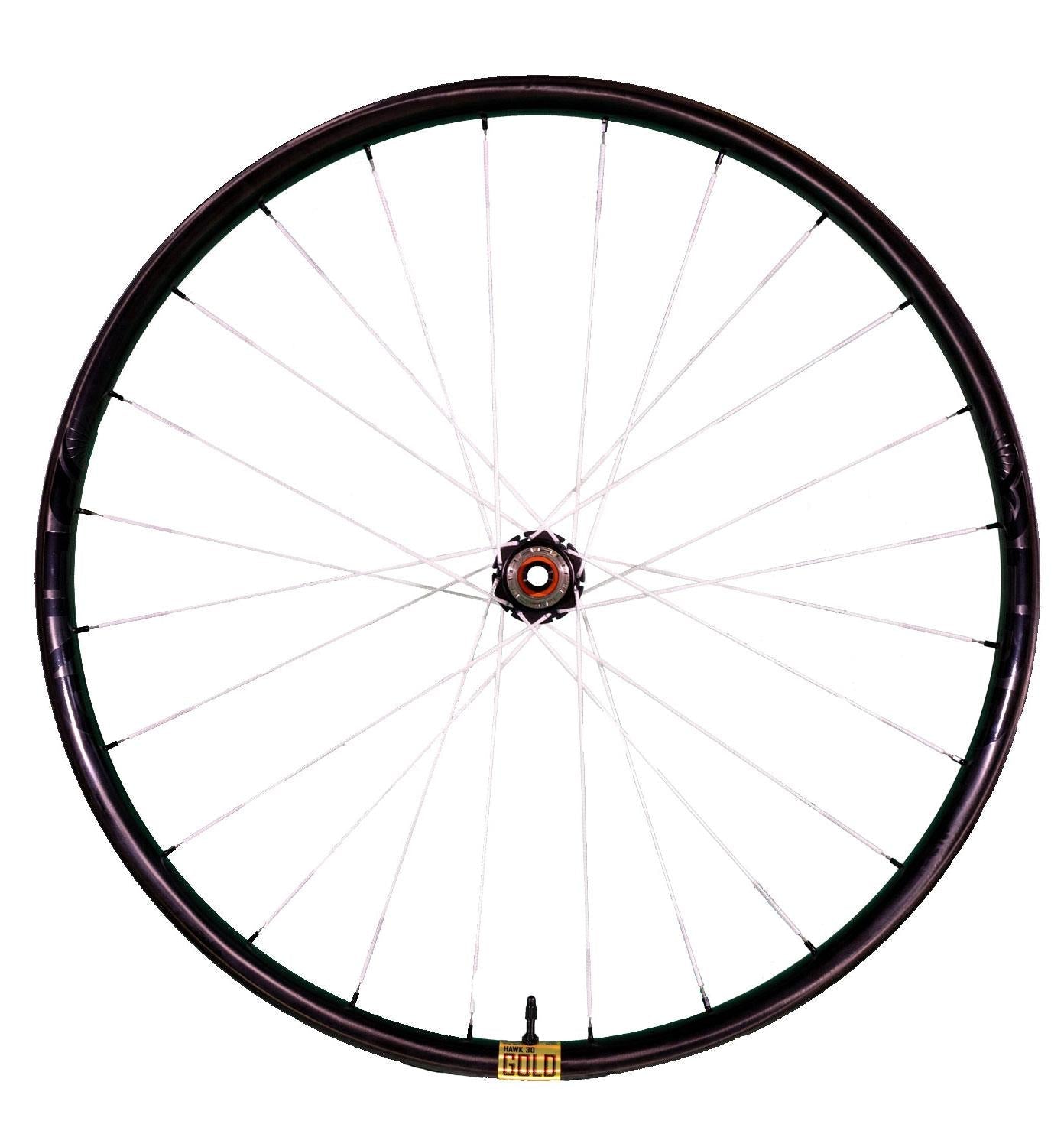 Berd HAWK30 Gold Carbon Aero Wheels - LoamLabs