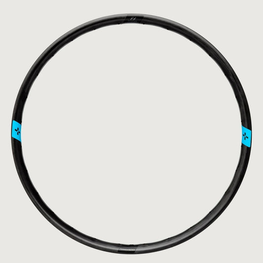 F+B 30 EM 29" Carbon Rear Rim, 32h - LoamLabs