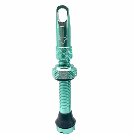 HF Tubeless Valve, 42mm - Turquoise - LoamLabs