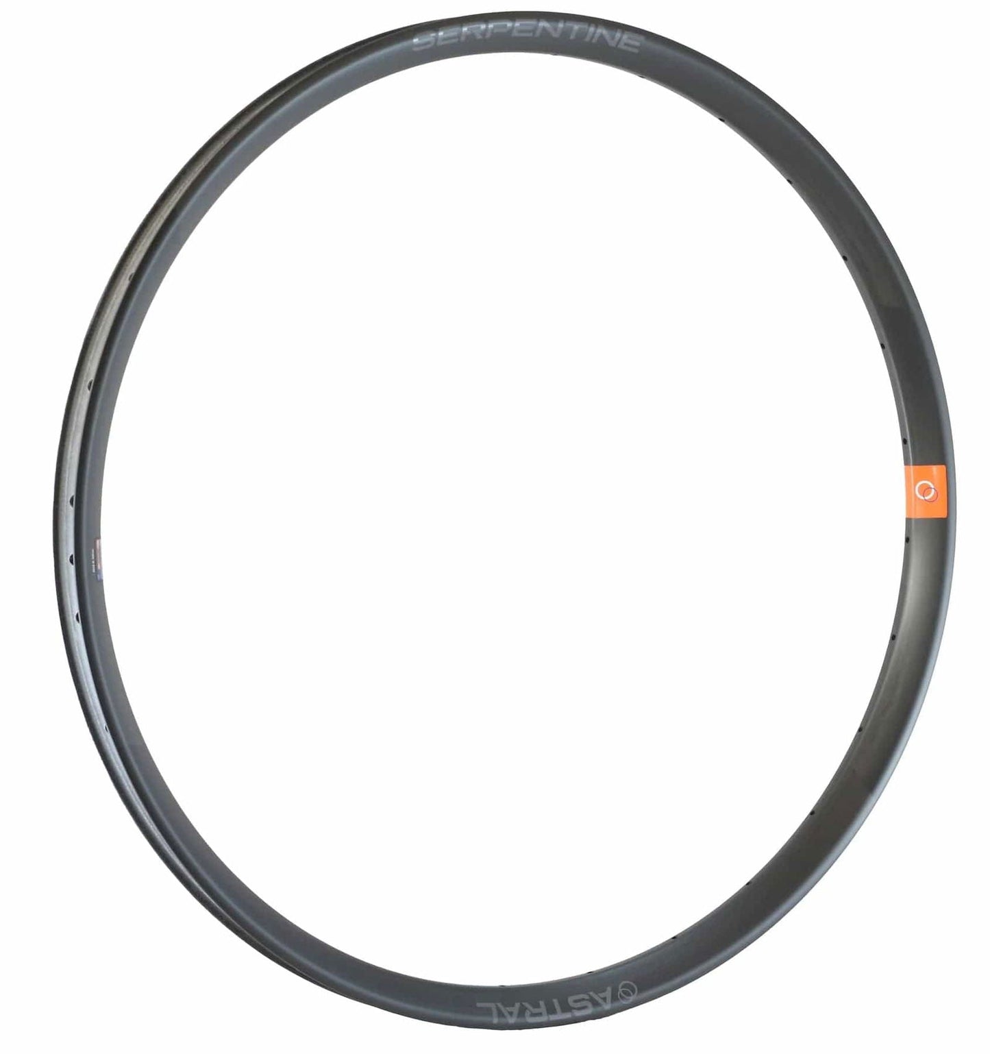 Serpentine 29" Carbon Rim, 28h - LoamLabs