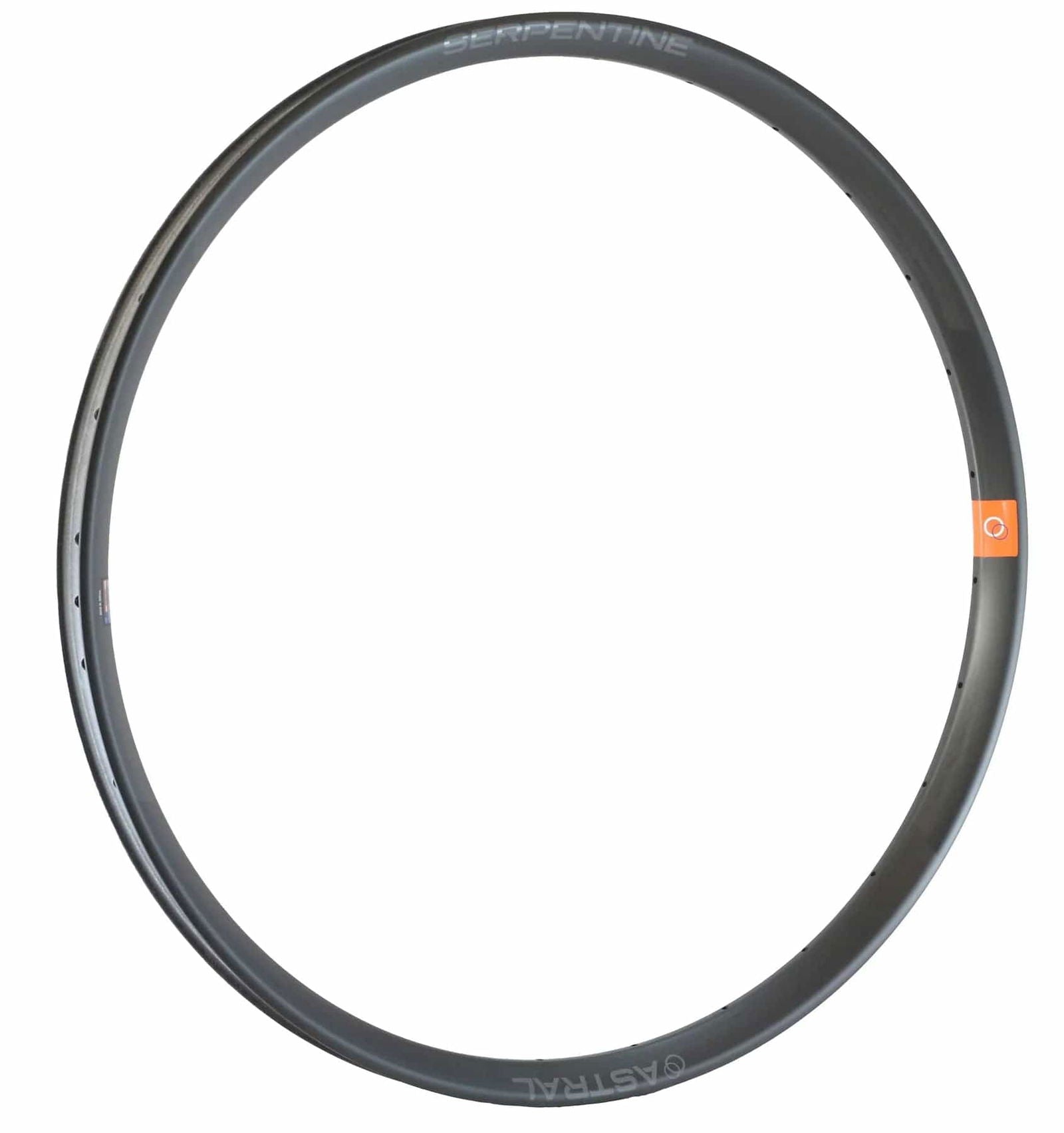 Serpentine 29" Carbon Rim, 32h - LoamLabs