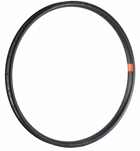 Serpentine X 29" Carbon Rim, 28h - LoamLabs