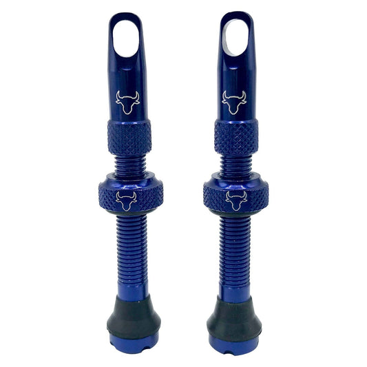 Tubeless Valve, Includes Rim Tape, 42mm (Pair) - Blue - LoamLabs