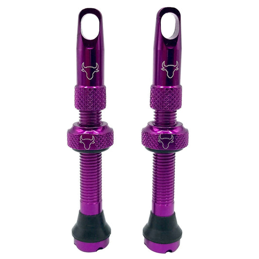 Tubeless Valve, Includes Rim Tape, 42mm (Pair) - Purple - LoamLabs