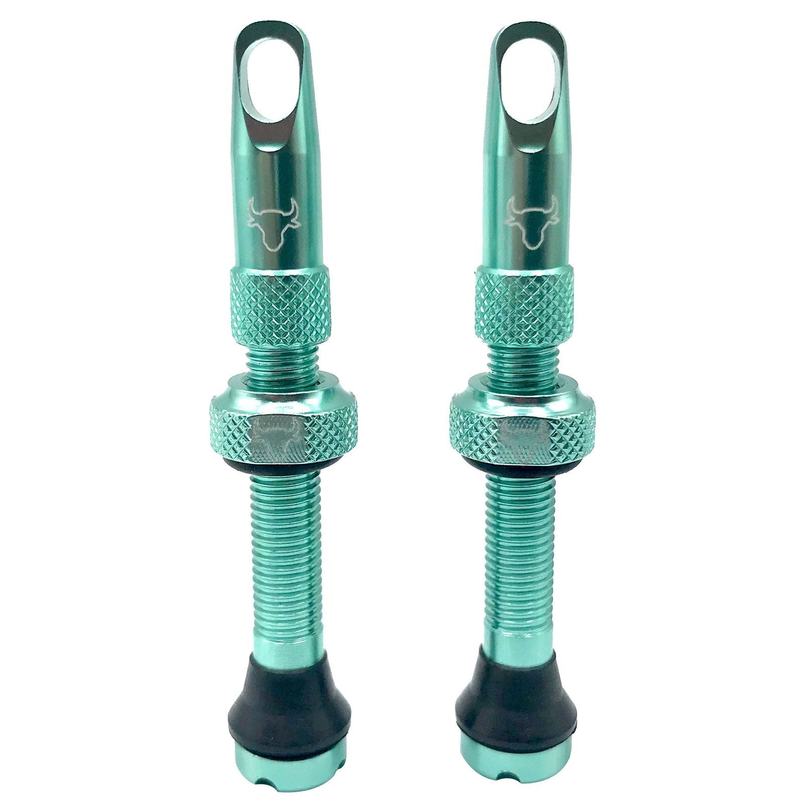 Tubeless Valve, Includes Rim Tape, 42mm (Pair) - Turquoise - LoamLabs