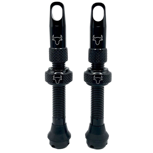 Tubeless Valve Stem, 42mm (Pair) - Black - LoamLabs