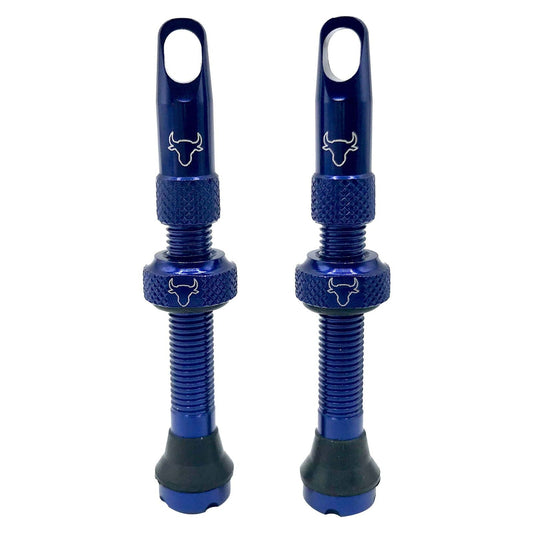 Tubeless Valve Stem, 42mm (Pair) - Blue - LoamLabs