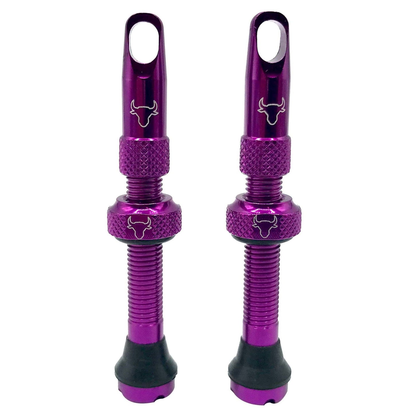 Tubeless Valve Stem, 42mm (Pair) - Purple - LoamLabs