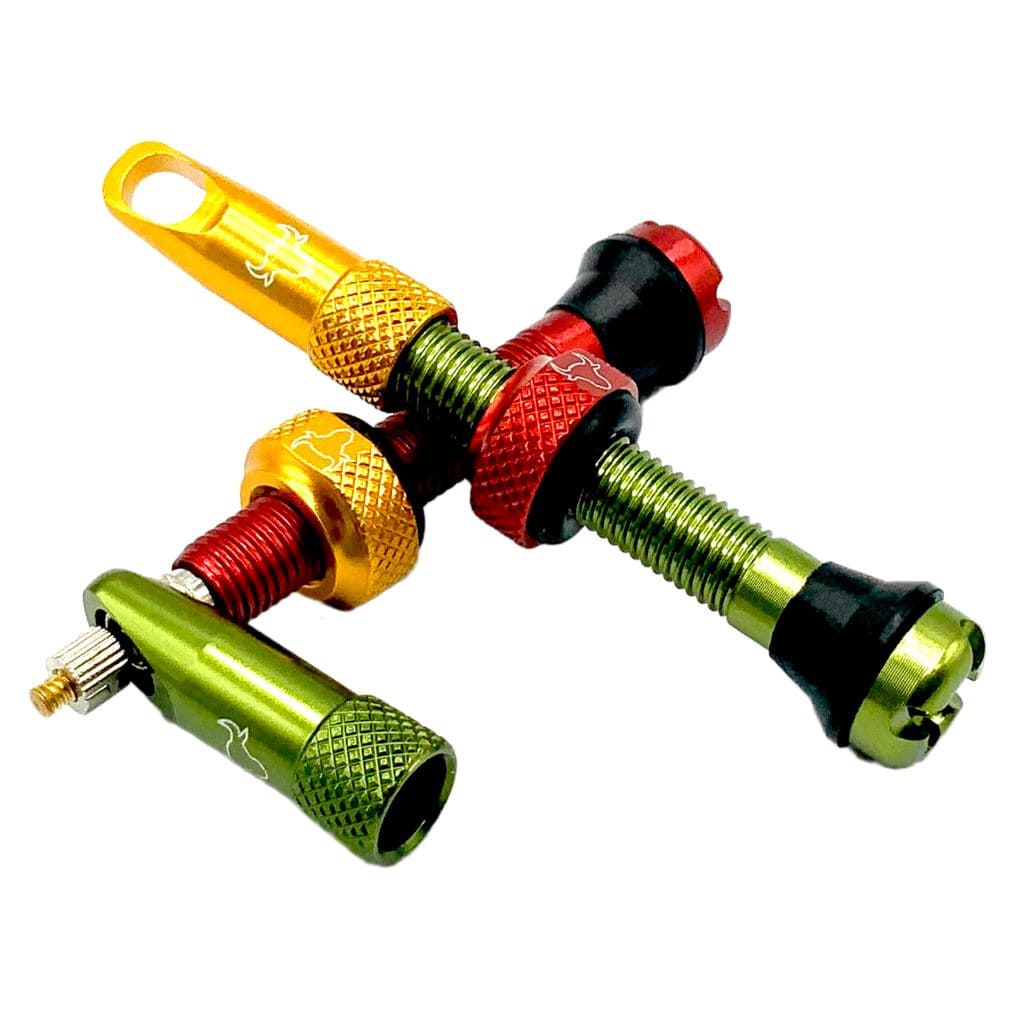 Tubeless Valve Stem, 42mm (Pair) - Rasta - LoamLabs