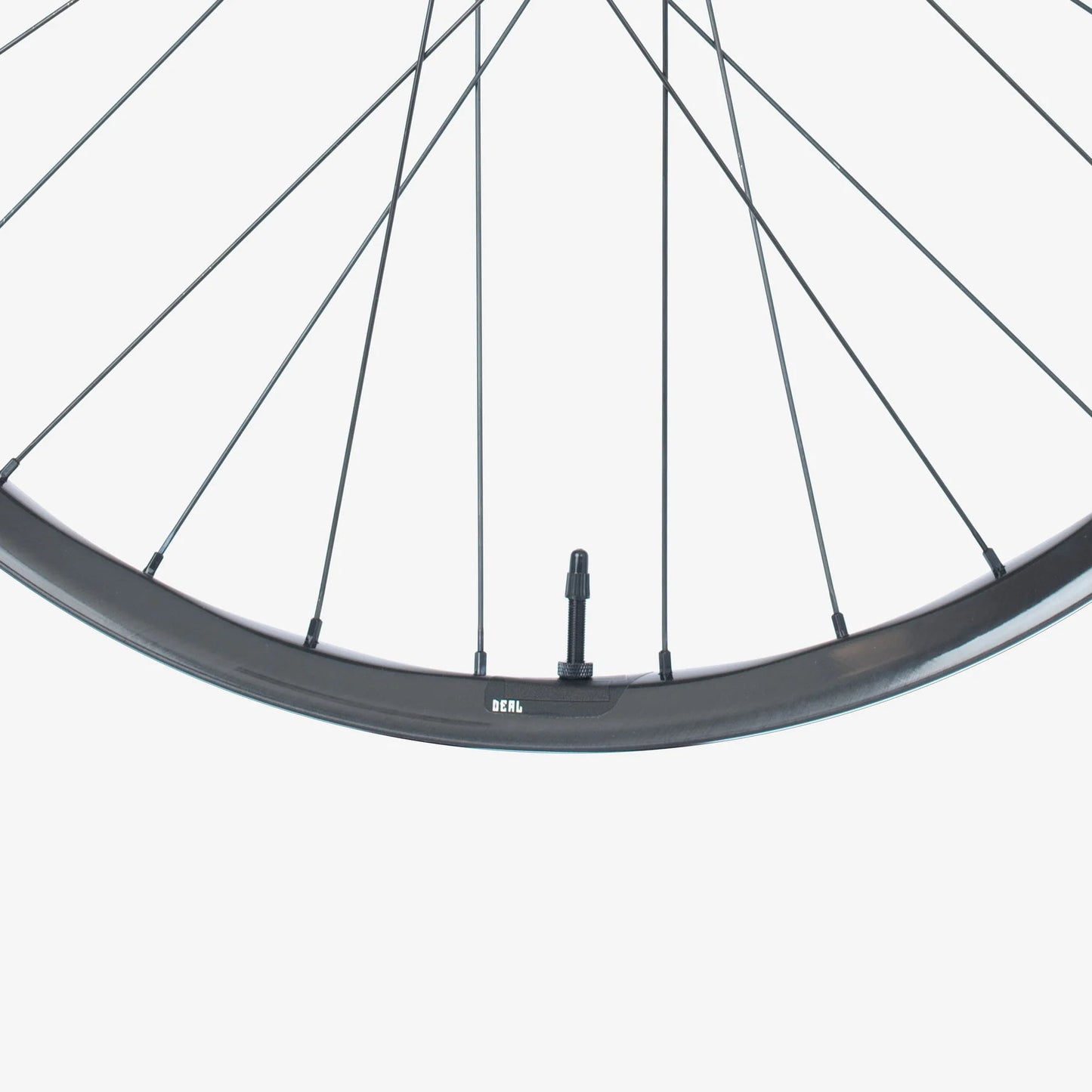 We Are One DEAL Carbon Rim (Downhill) - LoamLabs