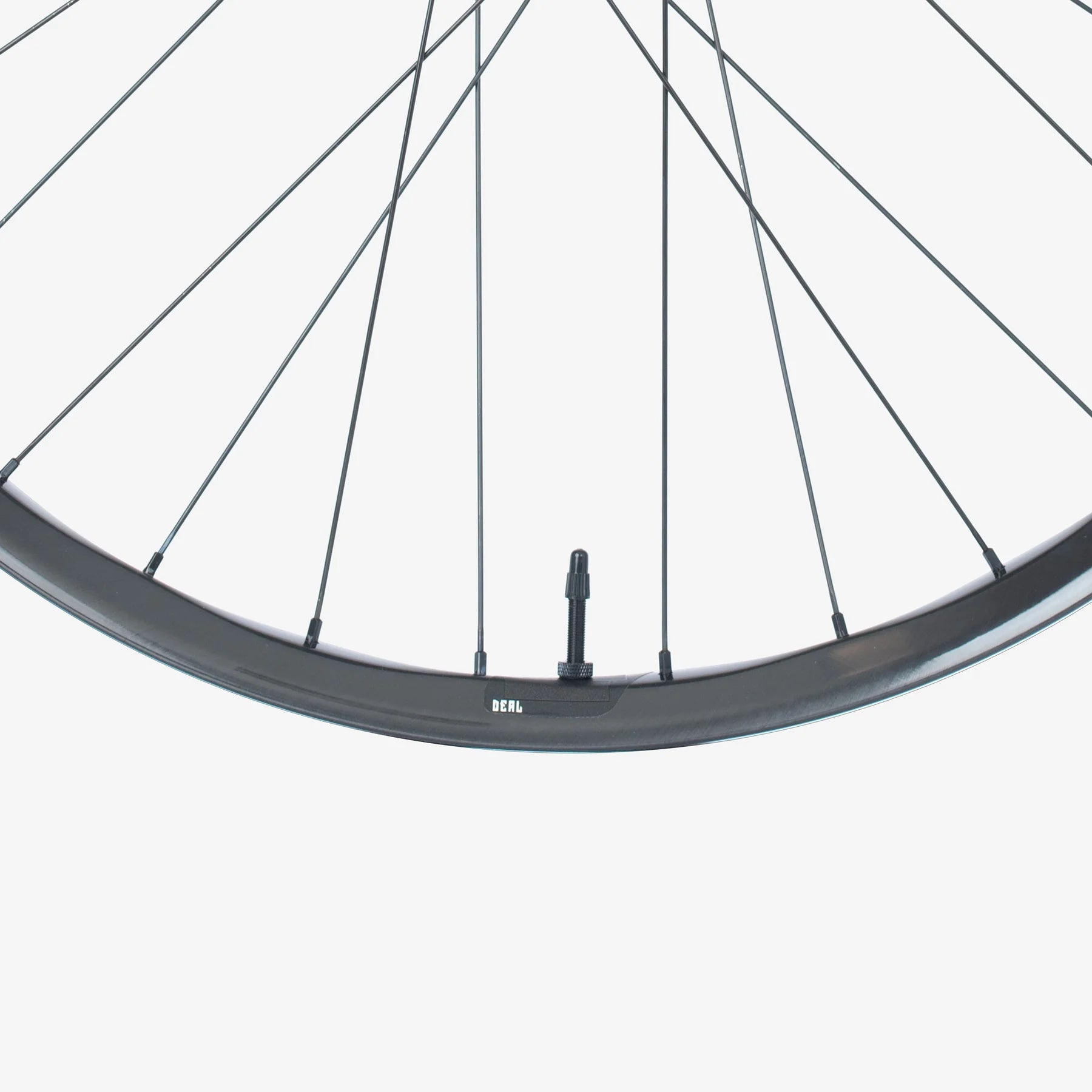 We Are One DEAL Carbon Rim (Downhill) - LoamLabs